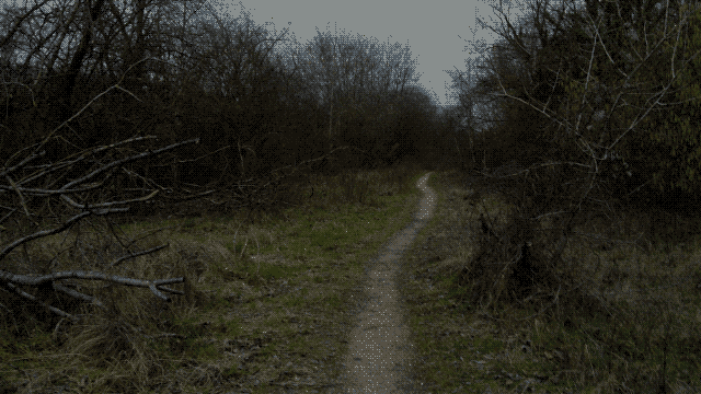 20240205_006.png