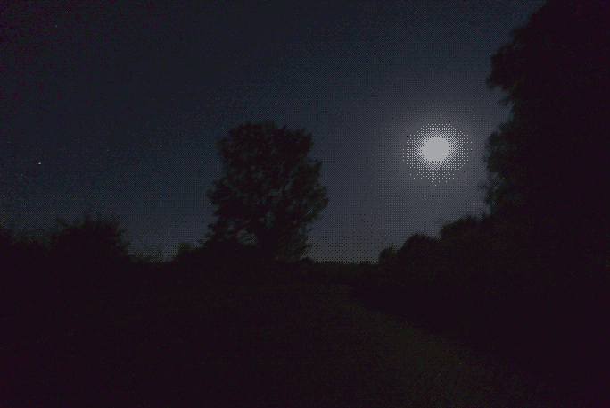 DSC00495.png